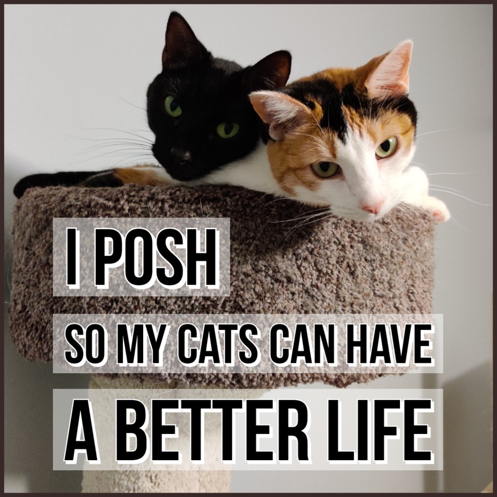 Meet Salem & Tooch